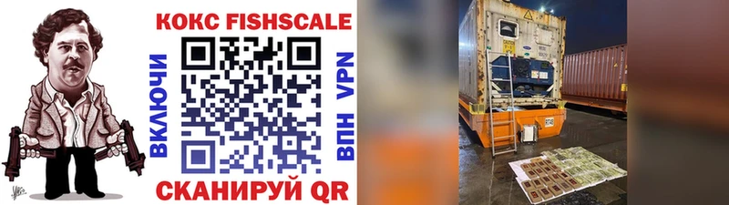 Cocaine FishScale  KRAKEN как зайти  Эртиль 
