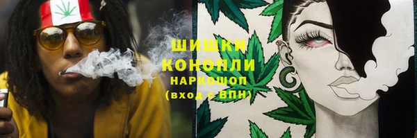 PSILOCYBIN Бронницы