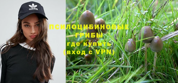 PSILOCYBIN Бронницы