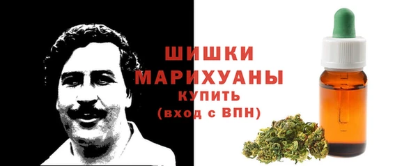 2c-b Бородино