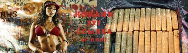 PSILOCYBIN Бронницы