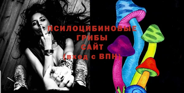 2c-b Бородино