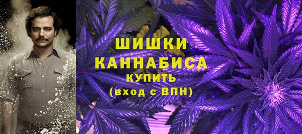 2c-b Бородино