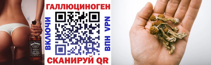 Псилоцибиновые грибы Psilocybe  купить   Эртиль 